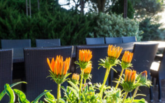 poggio alla rocca - alba