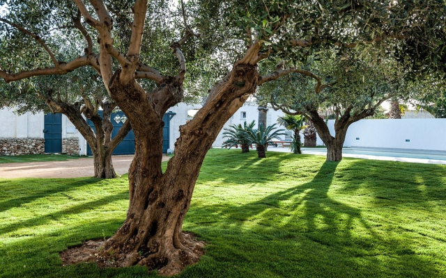 Beautiful Apartment in Villa With Swimming Pool by Beahost Rentals