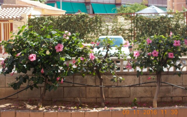 Eva Apartament Albufereta