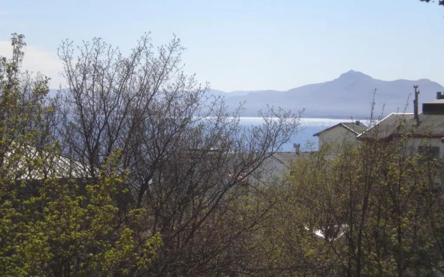 Panoramico