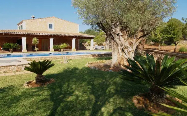 Finca Consuelo