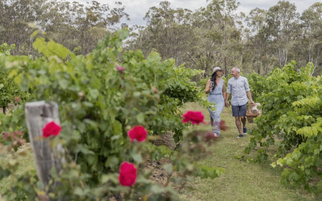 Spicers Vineyards Estate