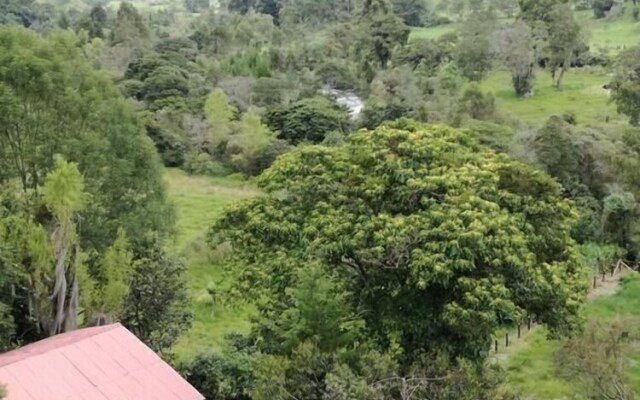 Ecorefugio Las Mirlas