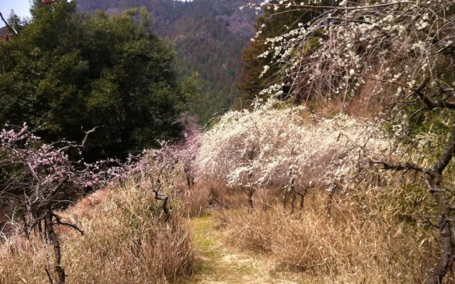 Misugi Resort Hotel Annex