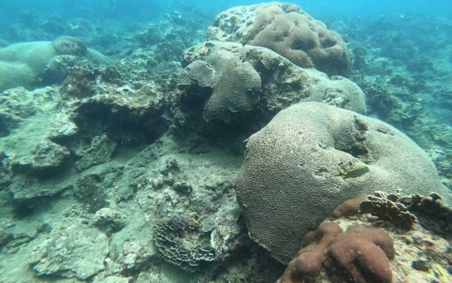 Ciudad Pérdida Ecolodge