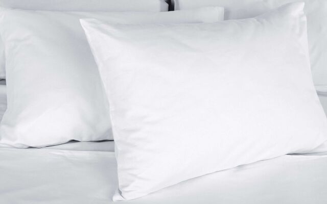 OYO Hotel Georgia near Fairburn/Atlanta