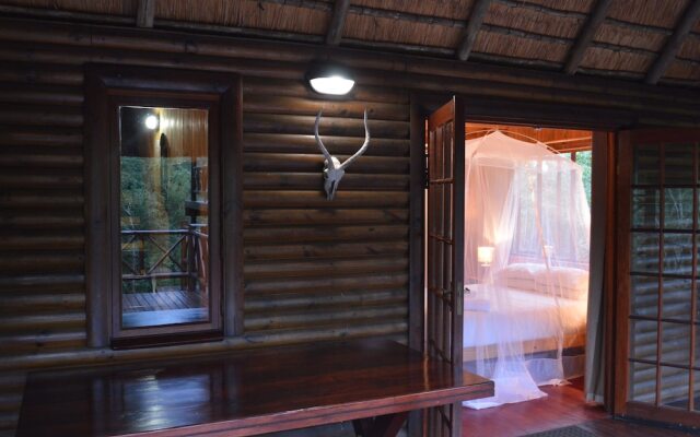 Lion Tree Bush Lodge