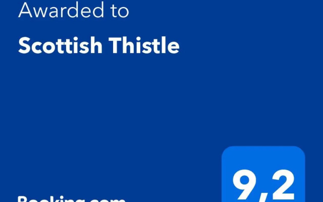 Scottish Thistle