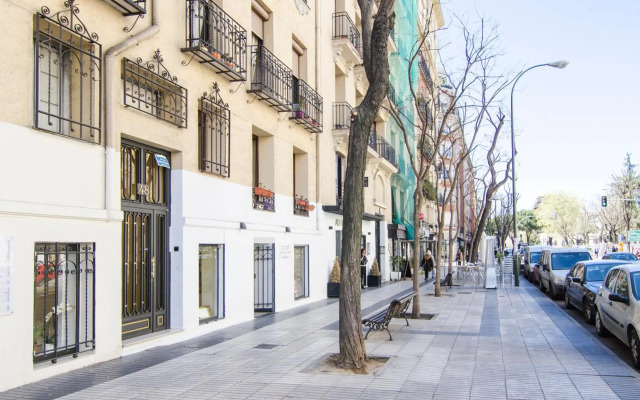 Minty Stay - Jose Ortega y Gasset