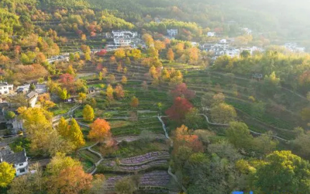 Wu Shi You Xian·Tachuan Resort Hotel