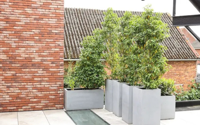 Brand new Apartment Sint-niklaas