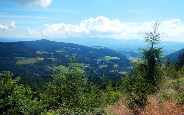 Chalet in Liebenfels Near ski Area