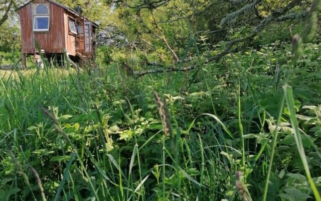 Stargazer Shepherds Hut. A Warm and Cosy Getaway