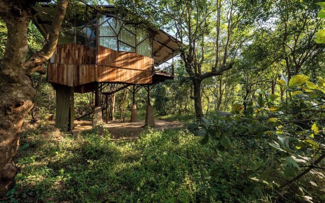 Kanha Jungle Camp