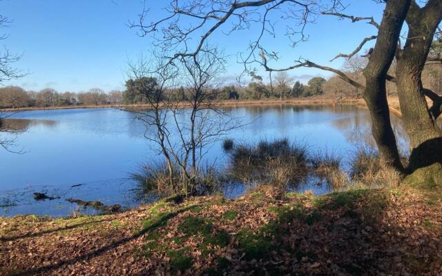 Bed & Breakfast Beilerhorst