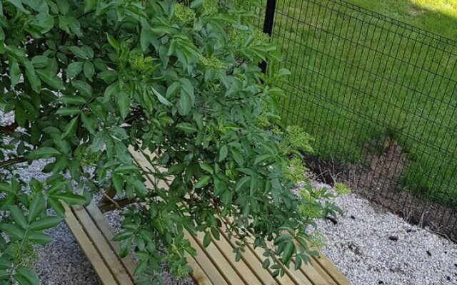 To go working or shopping