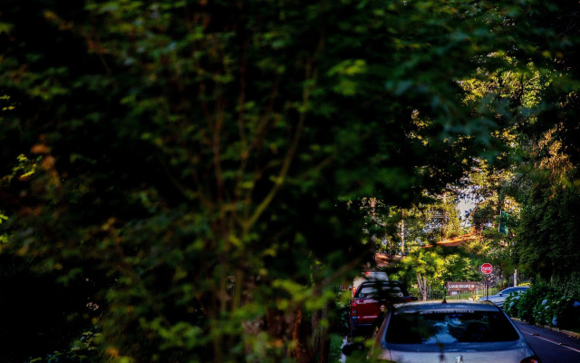 LOCAR-IN GRAMADO- Morada de bergamo