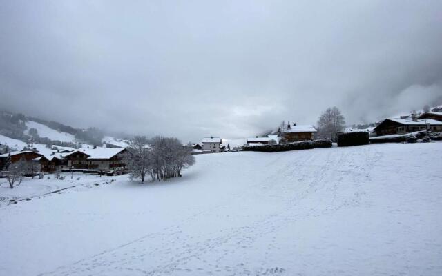 Appartement Praz-sur-Arly, 3 pièces, 6 personnes - FR-1-603-16