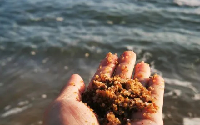 Xianghai Time Hotel (Tsuen Wan Sea World)