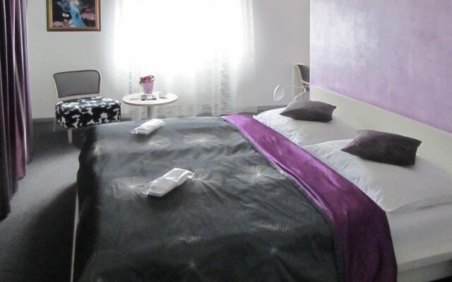 Hotel Villa Necas
