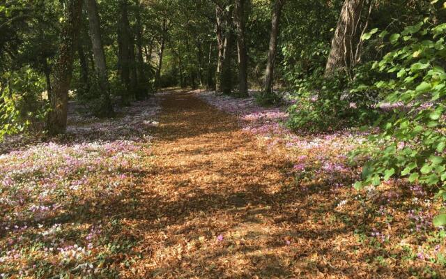 Château de Praslins