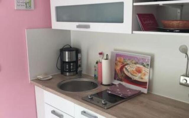 Ferienapartments Gohrisch Villa Schönblick