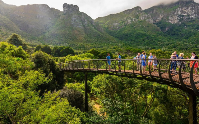 Holiday Inn Express Cape Town City-Centre by IHG