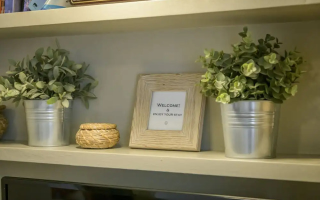 Syntagma Urban Oasis, Athens