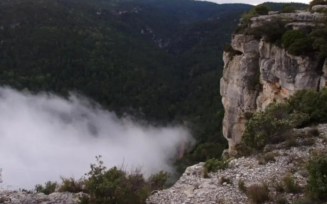 Mas de l'Arlequi