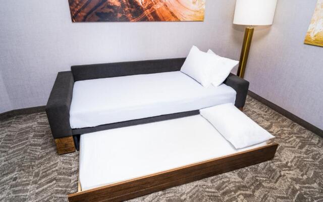 SpringHill Suites by Marriott Newark Fremont