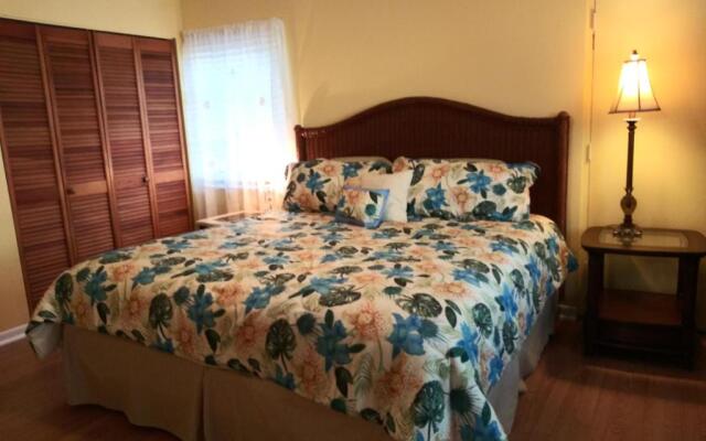 The Three Sisters - Crystal River FL