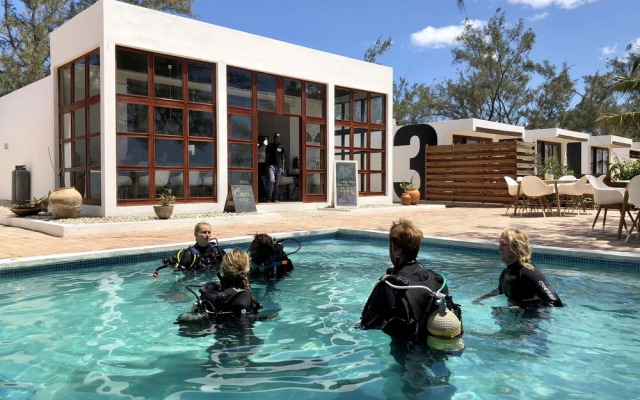 Liquid Dive Adventures