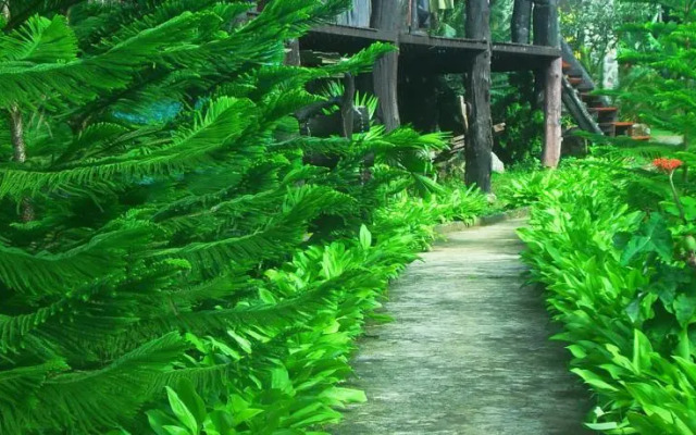 Baan Chonpao camping and resort