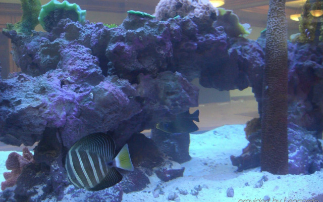 Delta Hotels Huntington Mall