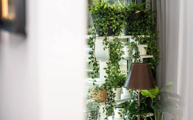 Safari Relaks i Aktywny Wypoczynek Idealna Lokalizacja