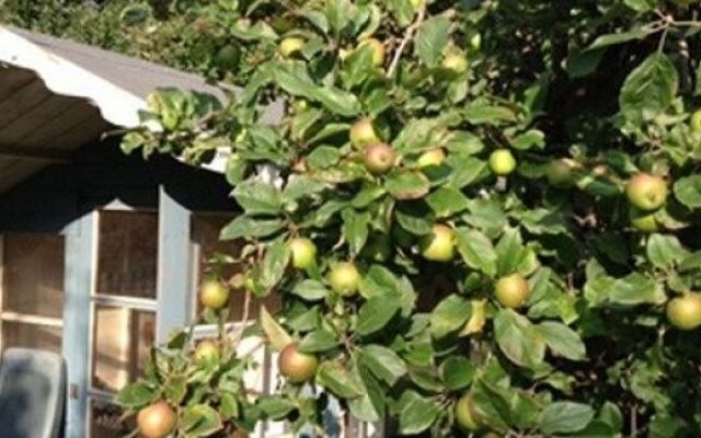 Hollycroft B&B, New Forest