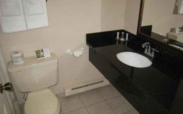 Canadas Best Value Inn & Suites Vernon
