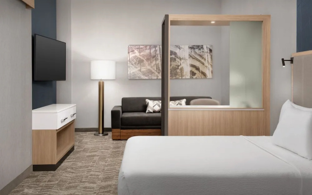 Springhill Suites By Marriott Fayetteville I 95