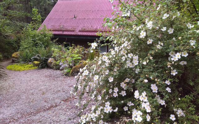 The Cabin at Moon Dance