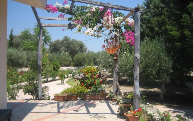 Ktima Ellopia
