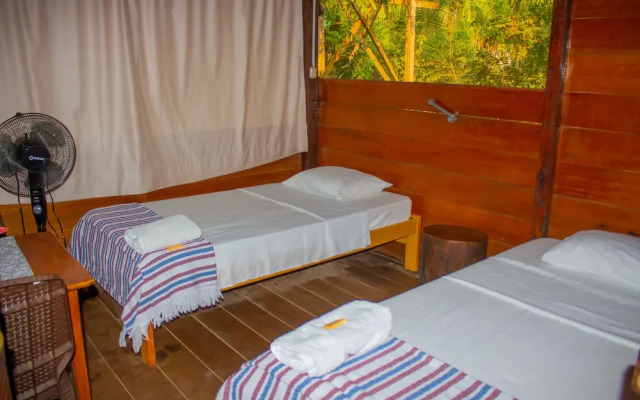 Tronco Tambopata Adventure