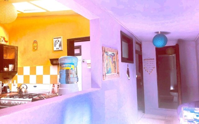 Amazing House of View