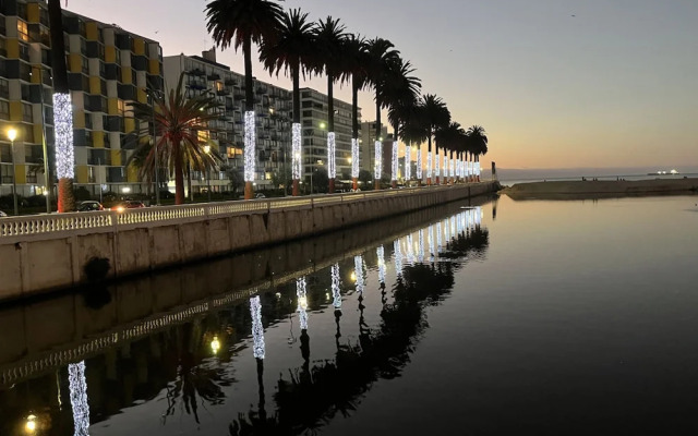 Urban Yard Bus Terminal Home Office Pool Wifi