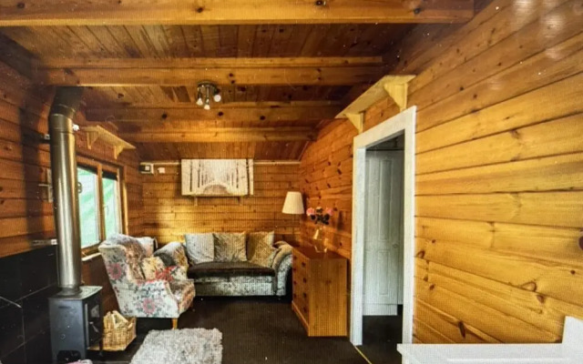 Beautiful 1-bed Secluded Cabin, With bar & Fire