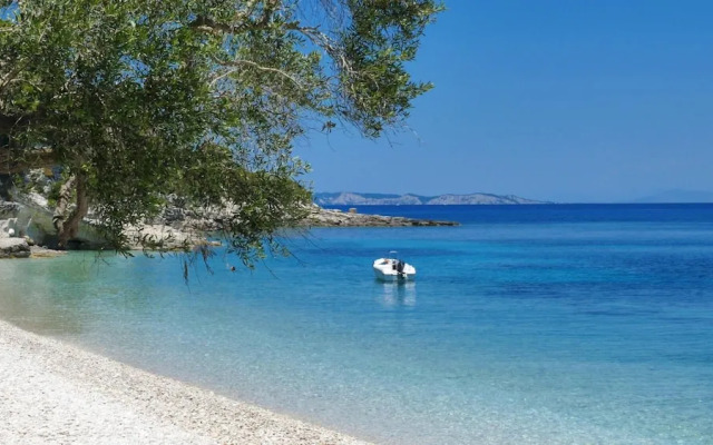 Monodendri Blue in Paxi