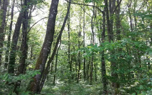 Farmstay Alpagâterie