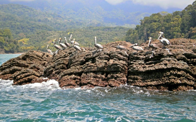 Cristal Ballena Boutique Hotel & Spa