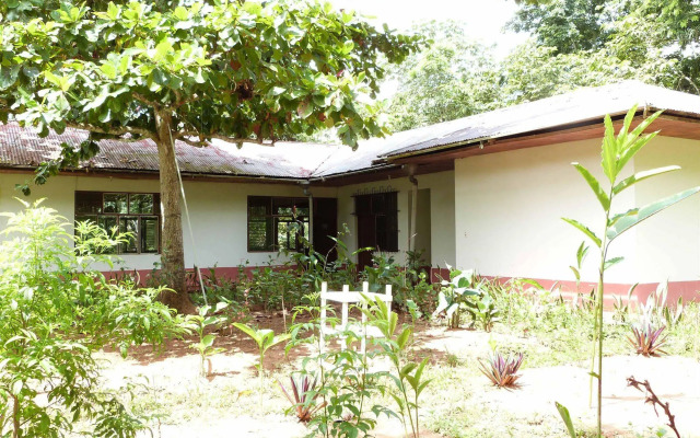 Tarantula Hostel