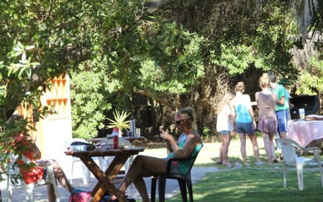 El Arbol Eco-Lodge - Hostel