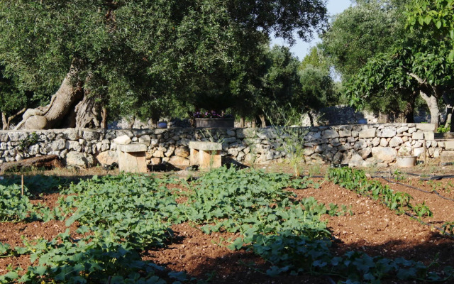 Tenuta Pigliano